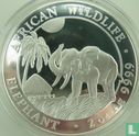 Somalië 200 shillings 2017 (zilver) "Elephant" - Afbeelding 2