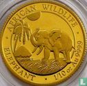Somalië 100 shillings 2017 (goud) "Elephant" - Afbeelding 2