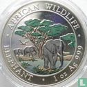 Somalië 100 shillings 2012 (gekleurd) "Elephant" - Afbeelding 2