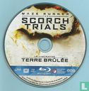 The Scorch Trials - Bild 3
