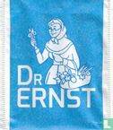 Dr Ernst - Image 1