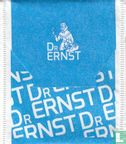 Dr Ernst - Image 2