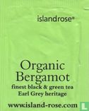 Organic Bergamot - Image 1