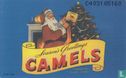 Seasons greetings Camels - Image 1