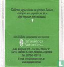 Té Verde - Image 2