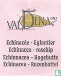 Echinacée - Eglantier - Bild 3