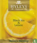 Black Tea & Lemon   - Afbeelding 1