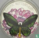 Tokelau 5 dollars 2012 (PROOF) "Exotic butterflies - Ornithoptera priamus" - Image 2