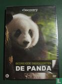 Bedreigde Diersoorten - De Panda - Image 1