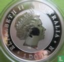 Australië 1 dollar 2017 (kleurloos - met haai privy merk) "Kookaburra" - Afbeelding 2