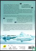 Polar bear - Image 2