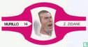 Z. Zidane - Afbeelding 1