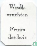 Woud-vruchten Fruits des bois - Afbeelding 1