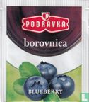 borovnica - Image 1