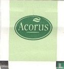 Acorus - Bild 1