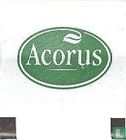 Acorus  - Bild 1