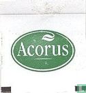 Acorus  - Image 2