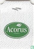 Acorus   - Afbeelding 2