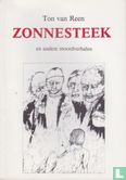 Zonnesteek - Image 1