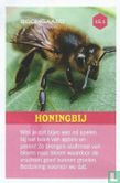 Honingbij  - Afbeelding 1