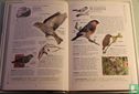 Birdfeeder handbook - Image 3