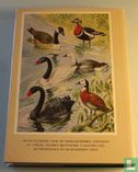 Encyclopedie voor de vogelliefhebber Band II - Bild 2