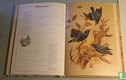 Het vogeldagboek - Image 3