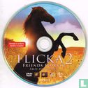 Flicka 2 - Friends Forever - Afbeelding 3