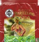Darjeeling Tea - Image 1