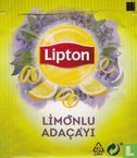 Limonlu Adaçayi - Afbeelding 2