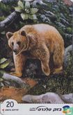 Brown Bear - Image 1