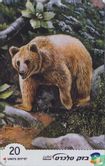 Brown Bear - Image 1