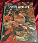 De planten