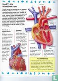 Het menselijk lichaam stickerboek - Image 3