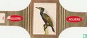 Cuervo Marino - Afbeelding 1