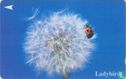 Ladybird - Afbeelding 1