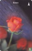 Roses - Afbeelding 1