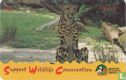 King Cheeta - Afbeelding 1