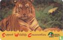 Sumatran Tiger - Afbeelding 1