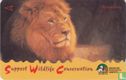 African Lion - Image 1