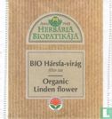 Bio Hársfa-virág  - Afbeelding 1
