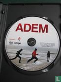 Adem - Image 3