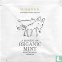 Organic Mint  - Image 1