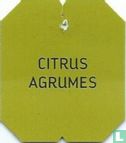 Delhaize - Citrus Agrumes / Fruity Green Tea - Afbeelding 1
