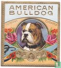 American Bulldog - Bild 1