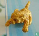 lion Cub - Image 1