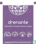 drenante - Image 2