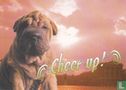 Schipper & De Boer "Cheer up!" - Afbeelding 1