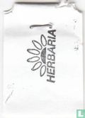 Lebenslust