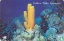 Yellow Tube Sponges - Image 1